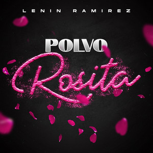 Portada de POLVO ROSITA